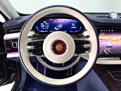 Hongqi 红旗金葵花国雅