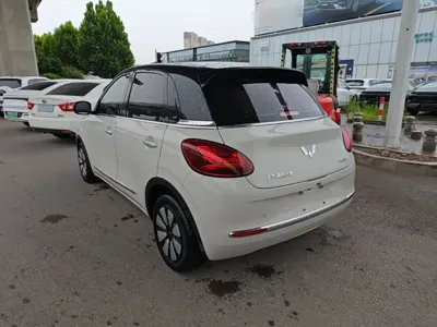 Wuling Bingo