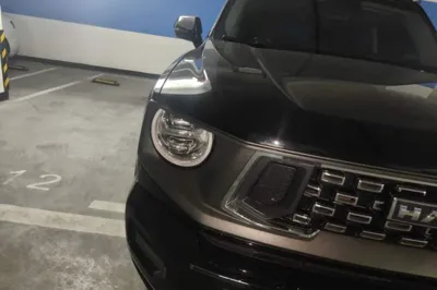 Haval H Dog