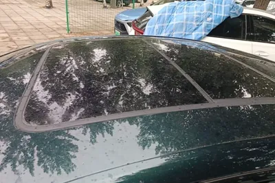 BYD Han