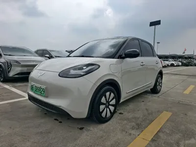Wuling Bingo