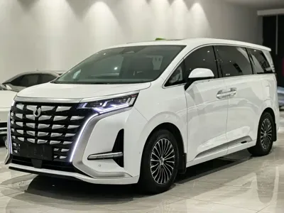 Denza Denza D9