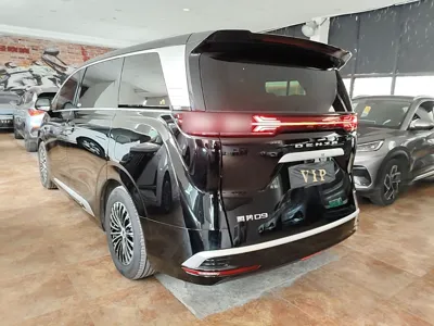 Denza D9