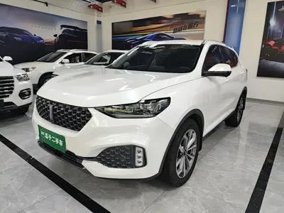 WEY Wey VV6