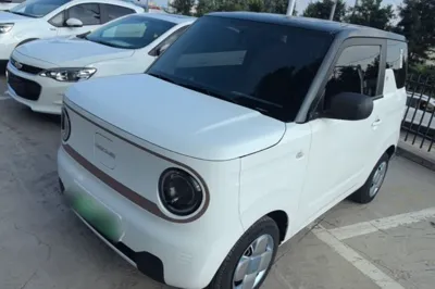 Geely Galaxy Panda