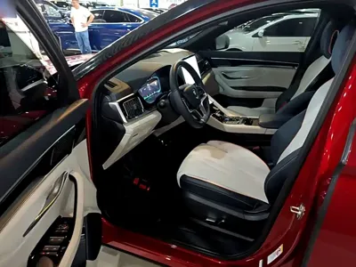 BYD PLUS New Energy