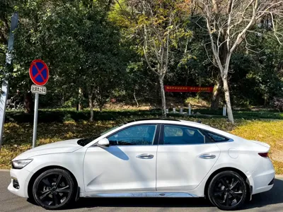 Hyundai Fista