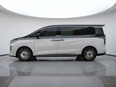 Hongqi Hongqi HQ9