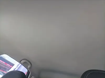 NETA Neta V