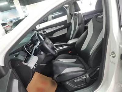 Geely Binrui