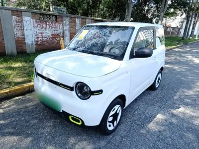 Galaxy Panda
