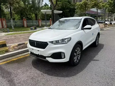 WEY Wey VV6