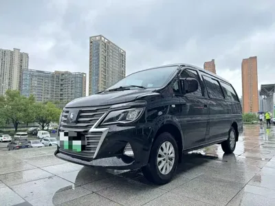 Fengxing Lingzhi New Energy