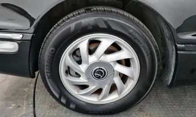 Hyundai Dynasty