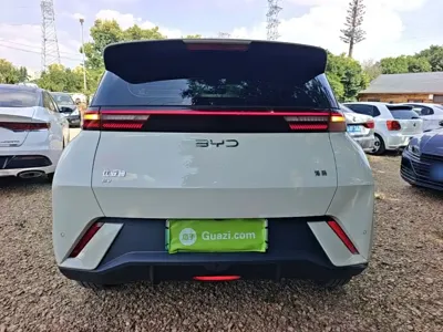 BYD Seagull