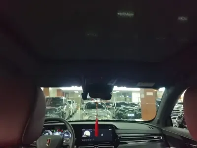 Hongqi Hongqi HS5