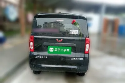 Wuling Zhiguang New Energy