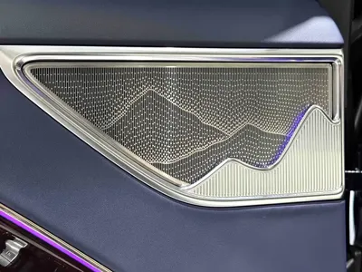 Hongqi 红旗金葵花国雅