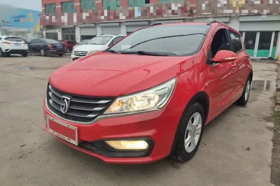 Baojun 310