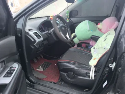 BYD S6