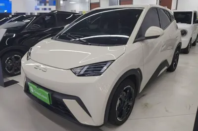 BYD Seagull