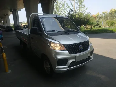 Foton Xiangling V