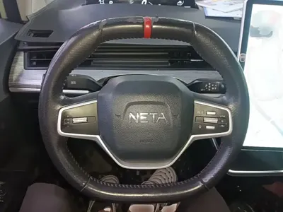 NETA Neta V
