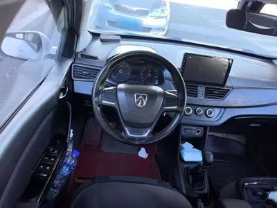 Baojun 310