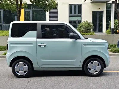 Galaxy Panda
