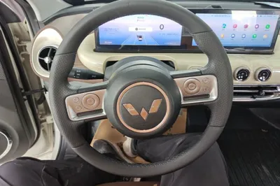 Wuling Bingo