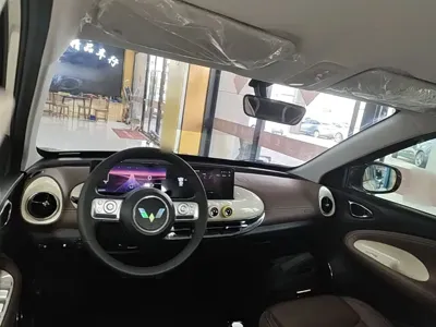 Wuling Bingo