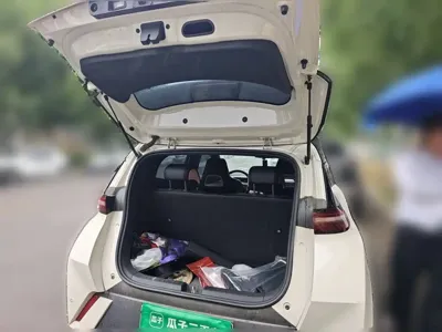 BYD Seagull