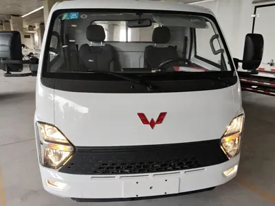 Wuling 五菱龙卡
