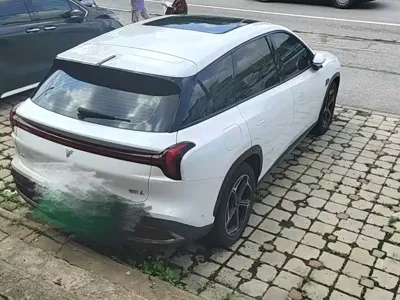 NETA Neta L