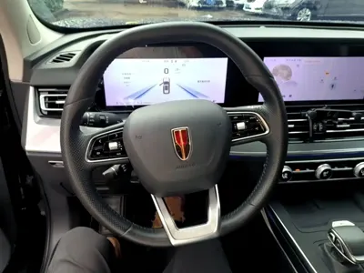 Hongqi Hongqi HS5