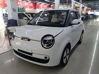 Qiyuan Lumin