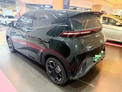 BYD Seagull