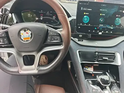BYD PLUS