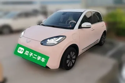 Wuling Bingo