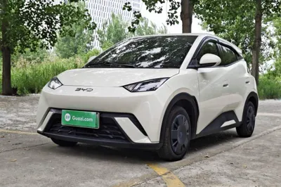 BYD Seagull