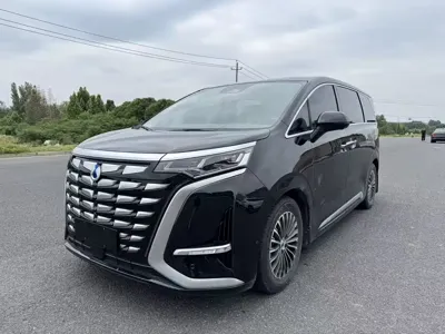 Denza Denza D9