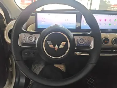 Wuling Bingo