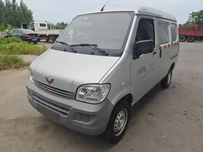 Wuling Zhiguang