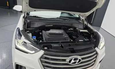 Hyundai Maxcruz