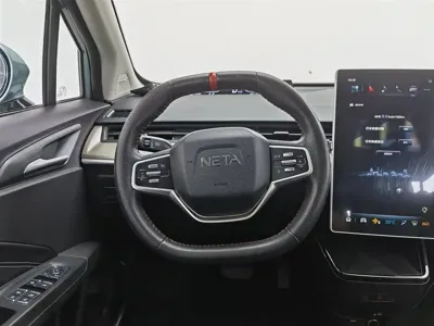 NETA Neta V