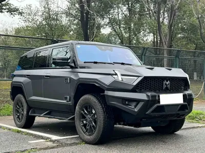 Mengshi Mengshi 917