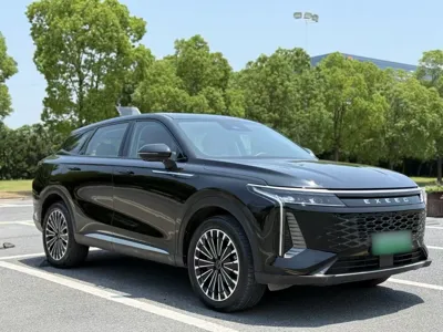 Xingtu Yaoguang C-DM