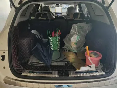 Baojun 310W