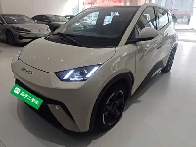 BYD Seagull