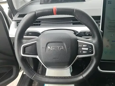 NETA Neta V